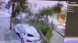 Woman narrowly escapes being crushed by falling tree in southern China