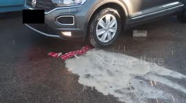 Crushing Crunchy & Soft Things by Car! EXPERIMENT COLA vs. CAR