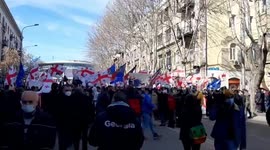 Georgians take to the streets to protest opposition leader's detention