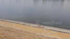 river