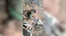 Security forces bust terrorist hideout, recover cache of weaponry in northern India