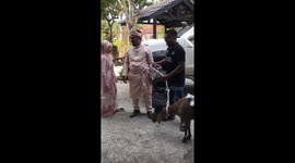 Malaysian newlyweds surprised by