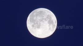 Birds Fly By the Snow Moon: Long Edit