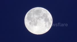Short Edit: Birds Fly By the Snow Moon