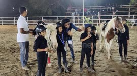 A rag of  horses exhibit their talents such as dancing, jumping bars in South India.