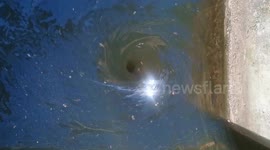 Cool water vortex found in a Yorkshire canal