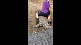 Huge Nile crocodile rescue