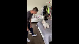 Grumpy Dog gets Aggressive on being Kissed by Owner