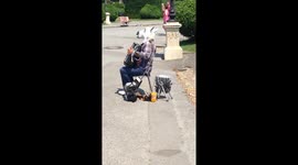 Man With A Horse Head Mask Playing The Accordion