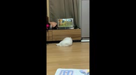 What are you doing baby? What's there?