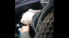 My puppy is LOVE....