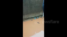 Climate change causes destructive flooding in Kampala, Uganda