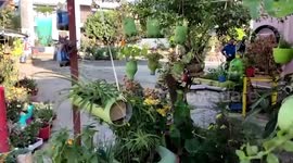 Woman recycles waste material into innovative garden in central India