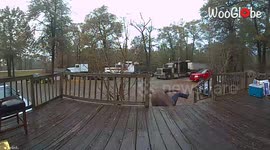 'Dad Welcomes New Year by Slipping on Icy Steps'