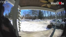 'Detroit Girl Slips and Falls on a Patch of Ice'