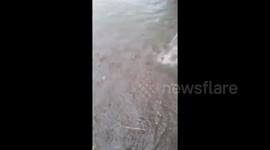 Argentina: Storm Brings Heavy Rain And Severe Flooding To Catamarca