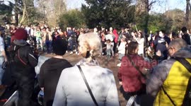 Freedom Party in Fulham ends in chaos and arrests