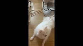 Don’t be silly, You’re never got a hungry. XD