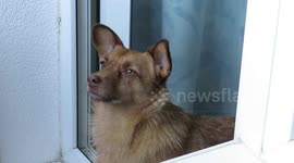 Russian annual check emergency sound system over some cities, St Petersburg, Russia