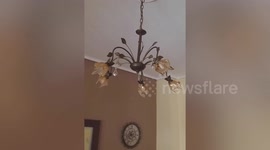 Chandelier sways as central Greece struck by strong earthquake