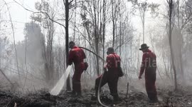 Firefighters Extinguishing Peat Land Fire in Riau