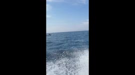sea trip