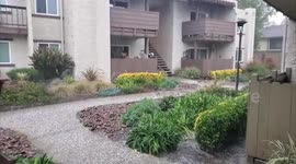 US: Late Winter Storm Brings Hail And Rain To San Diego, CA 2