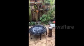 US: Late Winter Storm Brings Hail And Rain To San Diego, CA