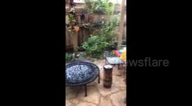 US: Late Winter Storm Brings Hail And Rain To San Diego, CA 4