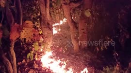 1000 officers deployed to save burning nature reserve in eastern India
