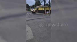 Loyal pet dogs pull overloaded garbage cart to help owner