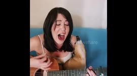 That dog is on fire! Singing dog belts incredible tunes with LA mom