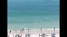 Dolphin spotted off Florida beach