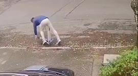 Dad crashes his sons mini scooter, caught on CCTV. Gets up very embarrased and winded!