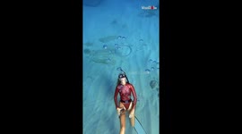 'Free Diver Befriends Octopus While Swimming Underwater'
