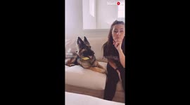 'German Shepherd gets Worried when Owner Pretends to Not See Her'