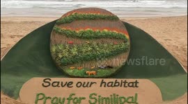 Famed sand artist makes work to raise awareness for nature reserve forest fire in India