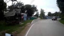Confused chicken flew into motorcycle rider