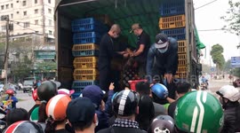 In a flap: COVID-19 forces rural chicken farmers to offer birds at bargain prices