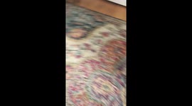 Lacey playing ball