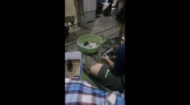 Indonesia: A Mother Feeds a Kitten