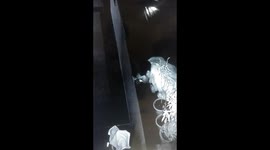 Shoe thief sneaks into Indian home to grab shoes off the doorstep