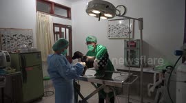 Veterinary practice in Indonesia offering free animal health services during pandemic