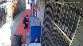 Runaway buffalo shot dead by police after attacking locals in eastern China