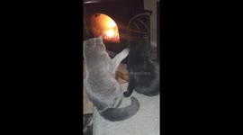 Love taps