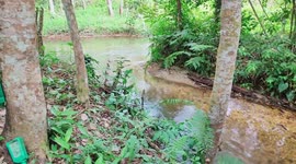 River in the jungle.. too happy swimm in this river becausee iya very Cleary and cool