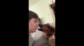 'Kiss your pet challenge' almost goes wrong when dog bites back at owner