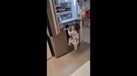 Baby climbing the refrigerator