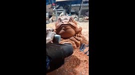 Vietnamese carpenter creates giant toad out of log