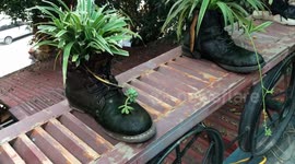 These roots were made for walking! Vietnamese cafe uses old shoes as plant pots